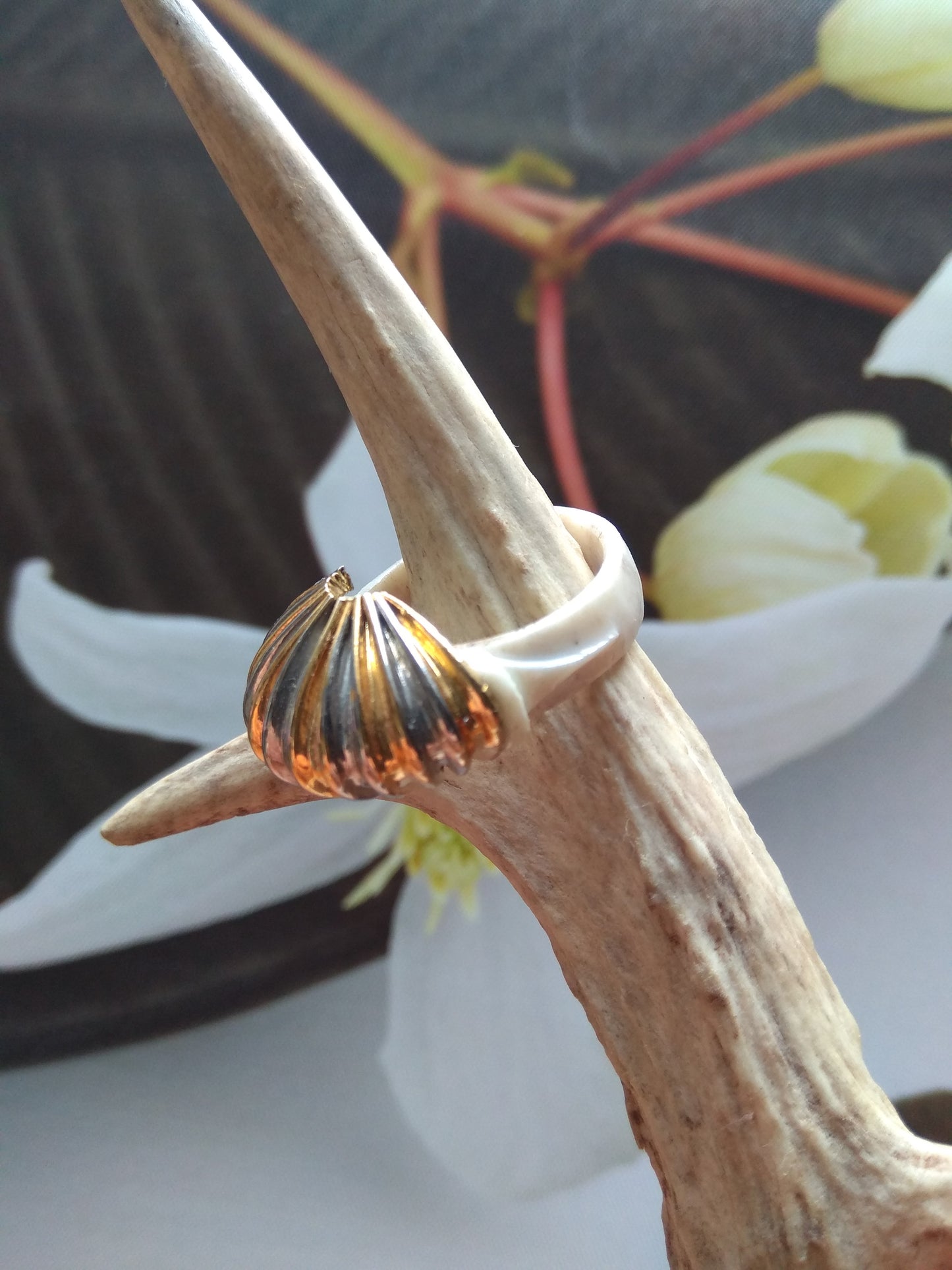 Bague en bois de cerf et boucle d'oreille